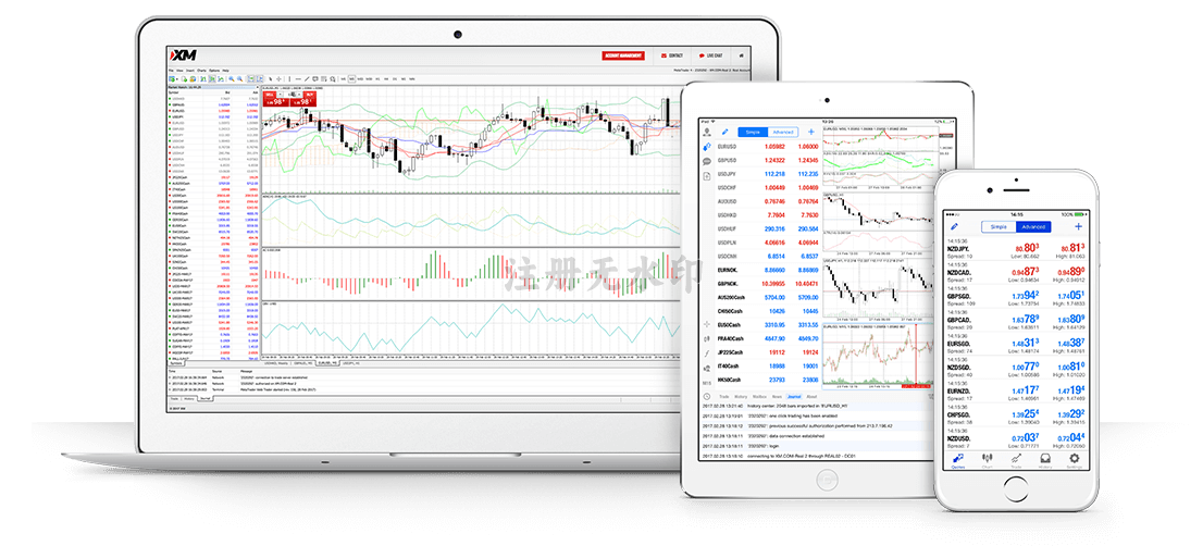 MT5 y WebTrader de Stpitrv 